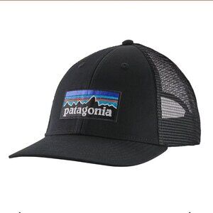 Patagonia Black Snapback Hat